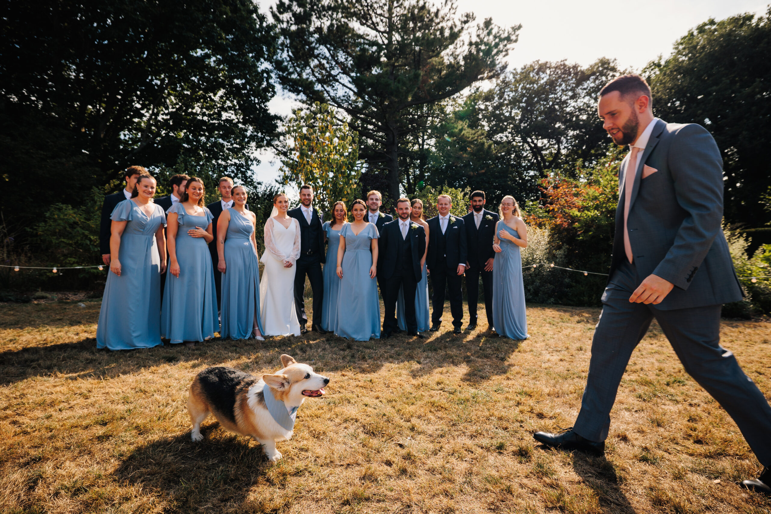 A corgi dog getting in the way of group shots at a wedding and being retrieved by a best man, captured by cornwall Wedding photographer Chris Armstrong photography